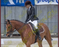 BULLE 0243